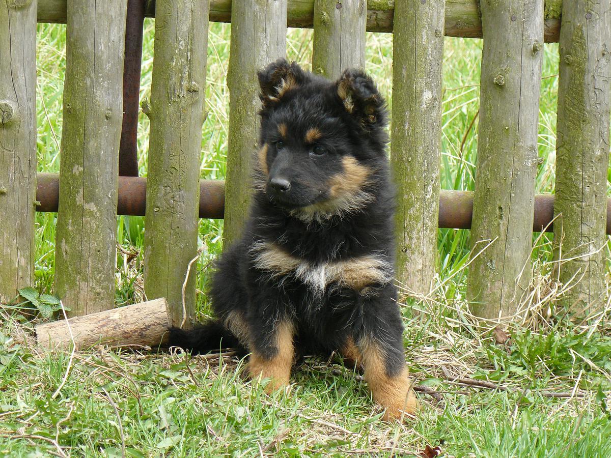 Renesme_8_a_pul_tydne_04.jpg