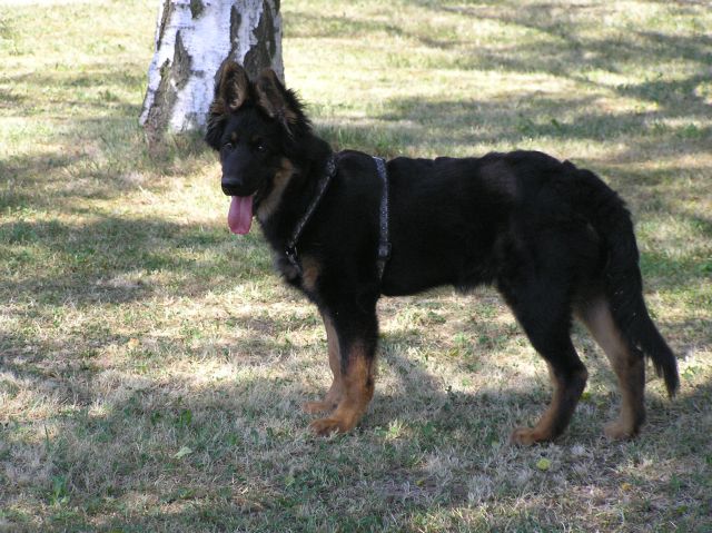 Renzo 5 mies. 6.jpg