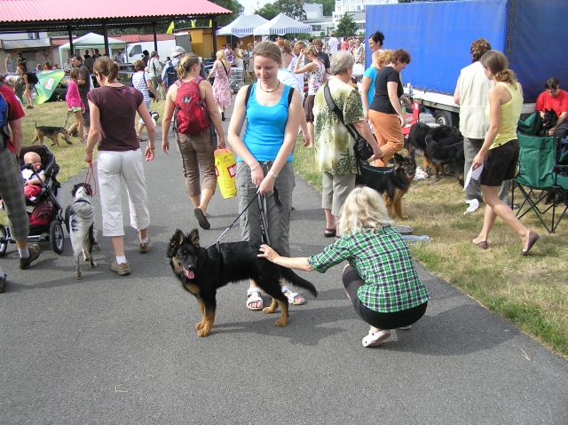 výstava MB 6.jpg