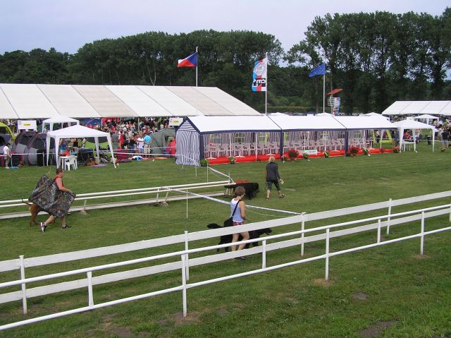 výstava MB 12.jpg